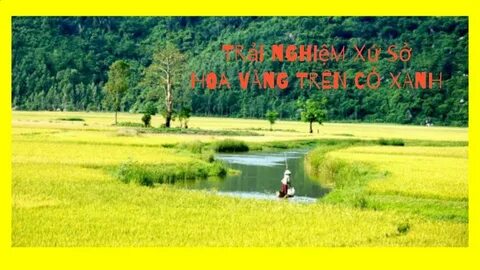 Mẹ Bỉm Sữa Ở Đà Nẵng Kiếm Tiền Từ Video Với Hotspot Matrix_Ứng dụng rút ngắn video